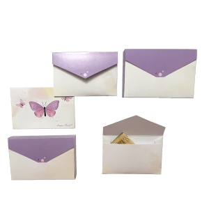 Butterfly Bliss 
Mini Money Envelopes
